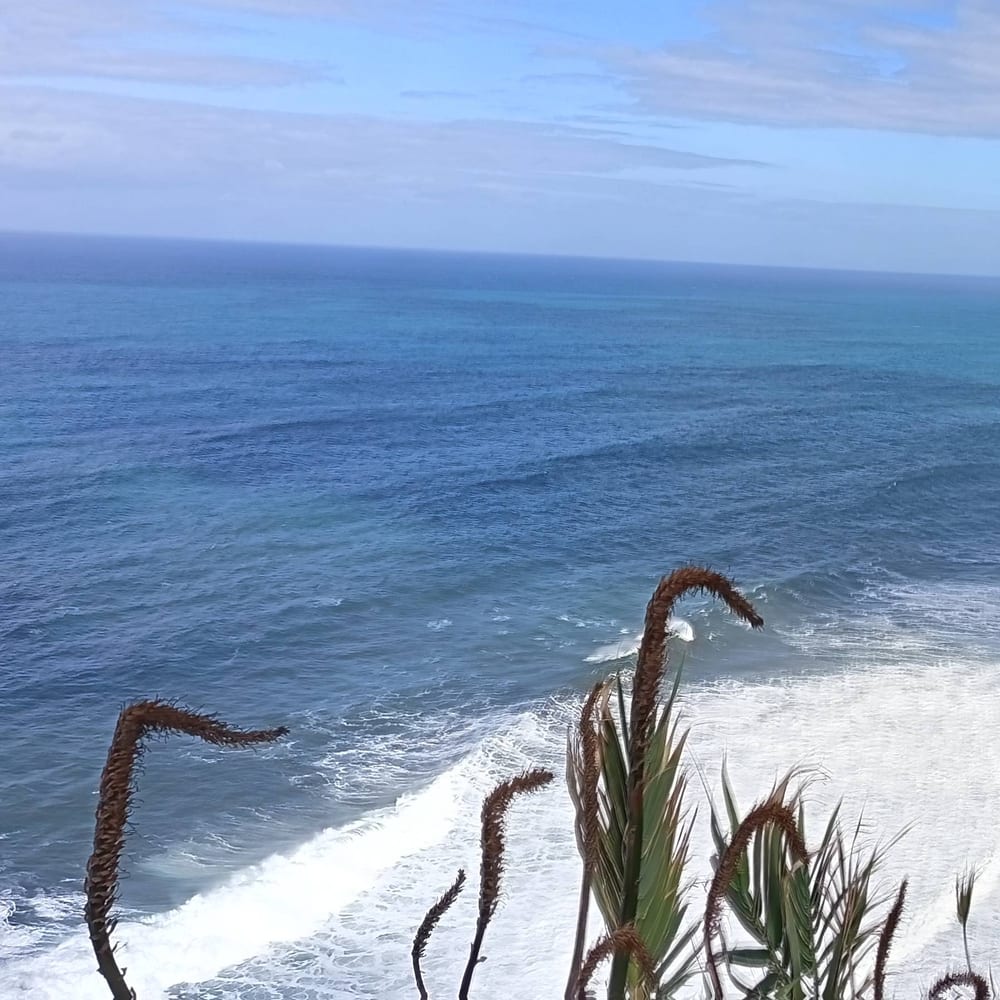 Waves breaking below the north-coast cliffs near a Madeira village